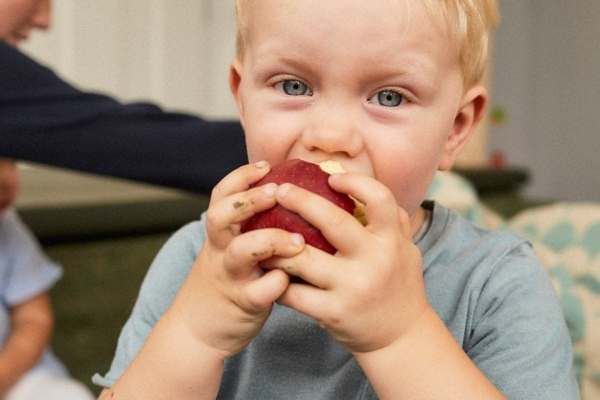 Wenn Kinder beißen, ist es kein Weltuntergang. Und eine weitere gute Nachricht: Auch andere Eltern fragen sich: Was tun, wenn Kinder beißen? Mehr als 1000 Eltern richten monatlich in Deutschland diverse Fragen zum Thema „Kinder beißen“ an Google.