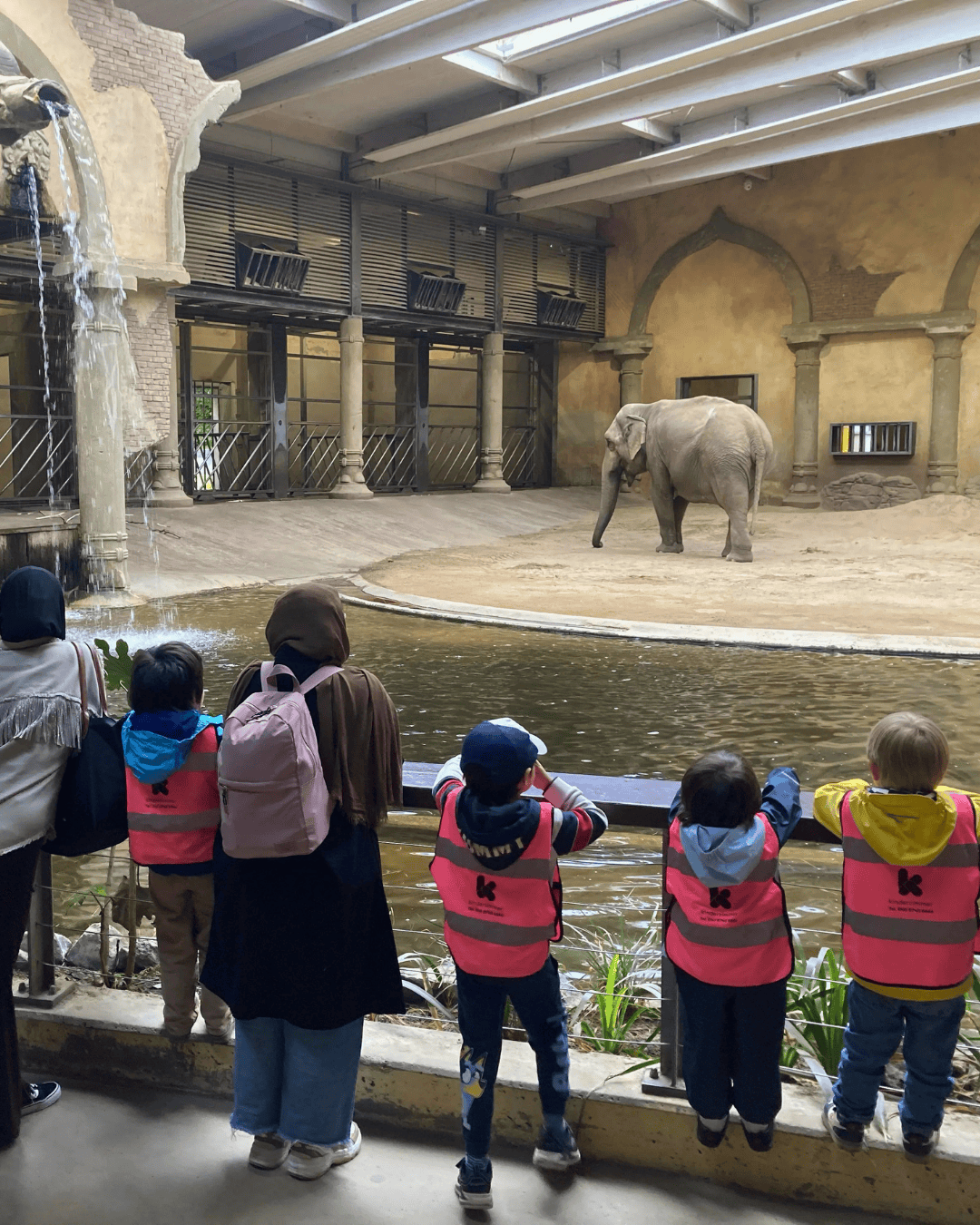 Eine Gruppe Kinder steht vor dem Elefantengehege im Zoo.
