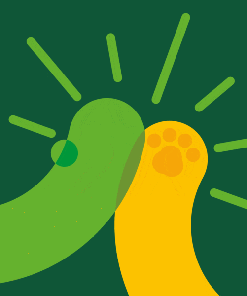 kita-kinderzimmer-hamburg-ratgeber-haustier-für-kinder