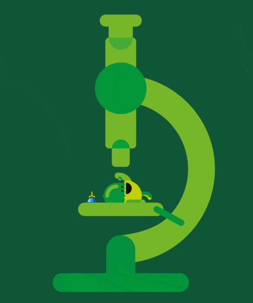 kita-kinderzimmer-hamburg-ratgeber-physik-kiziPendium-03_KnowHowdy-P30