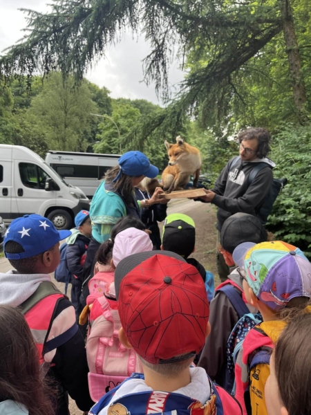 Vorschulkinder aus der Kita kinderzimmer Hamburg machen einen Ausflug zum NABU