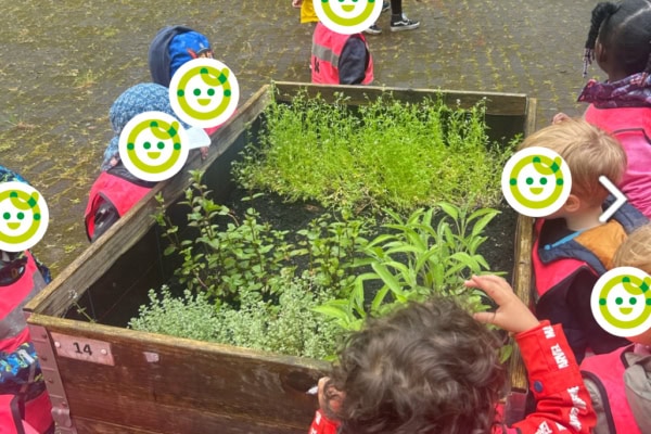 Während die ersten Sonnenstrahlen den Winter vertreiben, steigt in der Kita kinderzimmer Oolsdörp die Vorfreude auf den Frühling. Denn bald können die Kinder wieder ihre Hochbeete im angrenzenden Ohlsdorfer Park neu bepflanzen und selbst erleben, wie aus kleinen Samen kräftige Pflanzen wachsen.