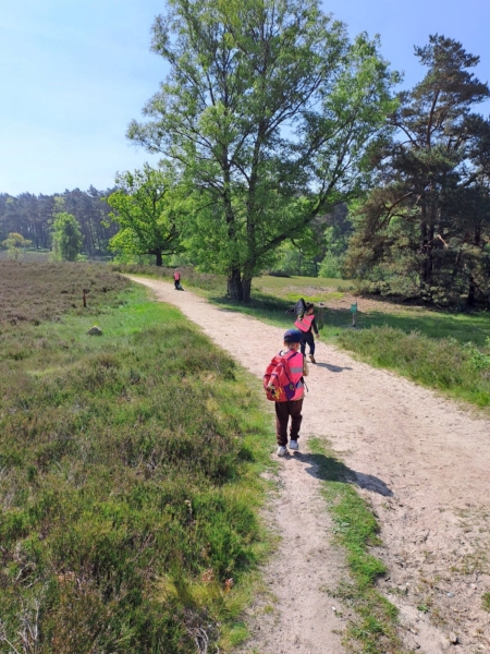 kita-kinderzimmer-heidbrook-hamburg-neugraben-ausflug-wandern