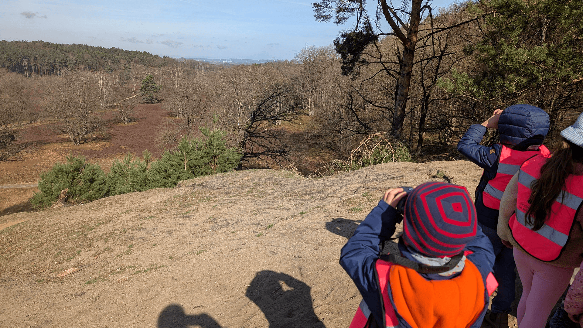 Kinder schauen auf einer Anhöhe in die Heide auf einem Ausflug ins Fischbeker Heidhaus in Hamburg Neugraben